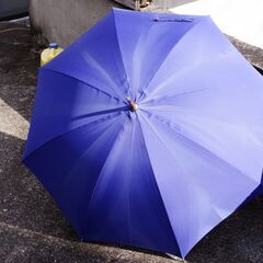 中古良品 青い雨傘