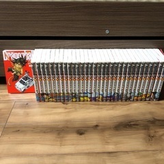 ドラゴンボール　完全版　コミック　32冊✳︎1冊抜けあり