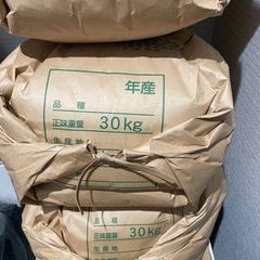 ひのひかり 玄米 30kg 2023年新米