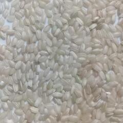 山田錦玄米 １０キロ