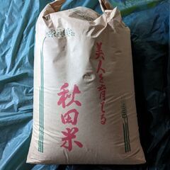 【お米】あきたこまち古古米30kgプラス無料米