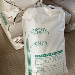 新米　10kg　令和5年　コシヒカリ　玄米　
