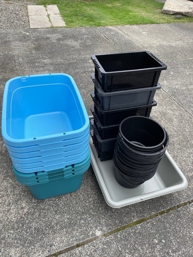 めだか　用品