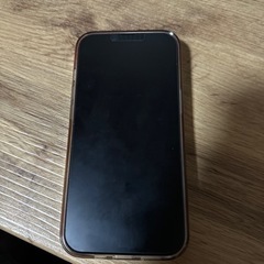 iPhone13 Pro 256GB