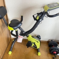 ALINCO アルインコ コンフォートバイクII AFB4309GX K465