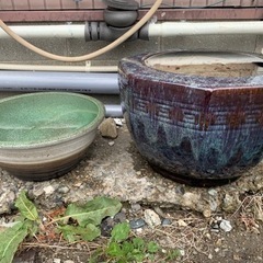 火鉢、陶器の鉢　メダカ鑑賞用