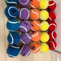 お取置き】【snaggolf】 スナッグゴルフ ターゲット、ボール