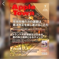 apple town No.304