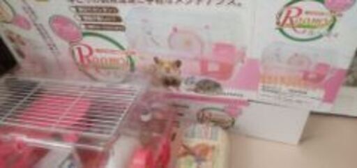 ハムスター飼育セット