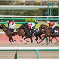 【千葉に現場多数】単発OKな日払いアルバイト！難しい仕事はありま...