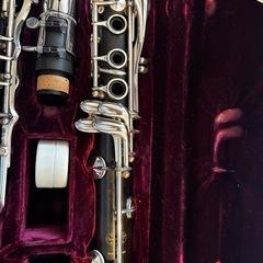 Buffet clampon R-13 横川晴児選定品