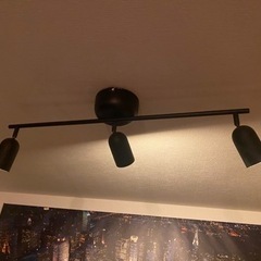 【お取引先様決定】IKEA シーリングスポットライト(電球付き)