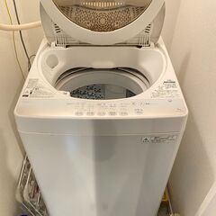 洗濯機 東芝 TOSHIBA AW-5G2(W)
