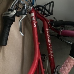 【終了】　ルイガノ　自転車　無料