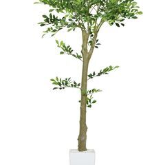 H人工観葉植物【イボタノキ150cm／グリーン色】③フェイクグリ...