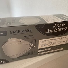 立体マスク　250枚(50枚×5)