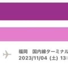 【ネット決済・配送可】11月4日　沖縄→福岡　飛行機チケット　値...