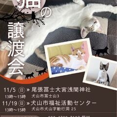 猫の譲渡会 @尾張冨士浅間神社