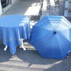 珍しい傘　（車・電車・他）に乗る時、傘をたたむ際、傘の雨水を溜め...