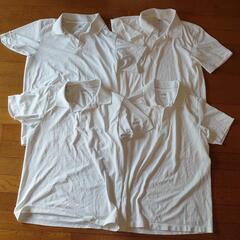 半袖白ポロシャツ4枚　150×3 160×1