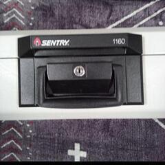 SENTRY 1160　持って帰る方限定てす。