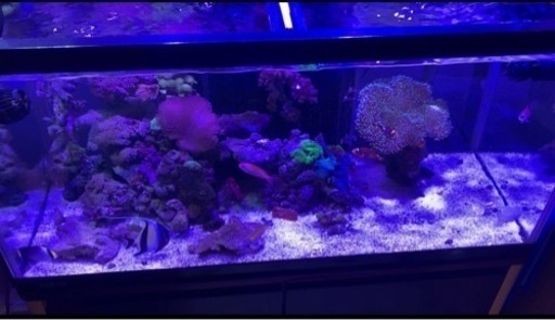 90cm水槽