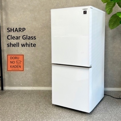 ご成約済み 2018年製✨ SHARPガラスドア冷蔵庫 クリアシェルホワイト✨ つけかえどっちもドア