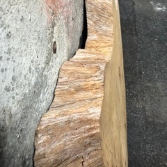 希少　欅の切り株　ニス吹き付け処理済み