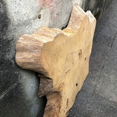 希少　欅の切り株　ニス吹き付け処理済み