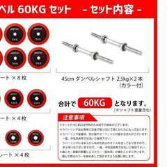 IROTECダンベル60キロ（片方30キロ×2）