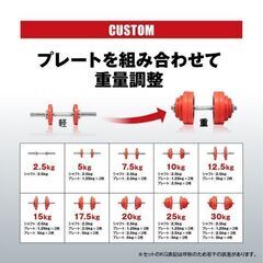 IROTECダンベル60キロ（片方30キロ×2）