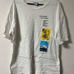 ZARA Tシャツ