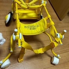 中型犬　車椅子