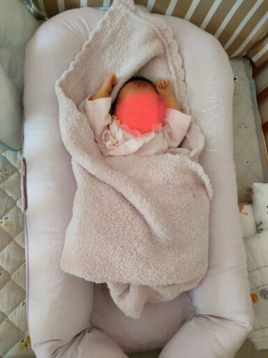 ドッカトット本体、カバー2枚、持ち運びケース手渡し