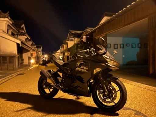 カワサキninja250 カワサキ（KAWASAKI） ニンジャ250SL | Ninja 250SL