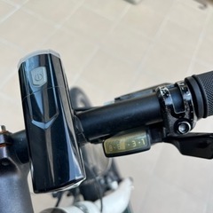 交渉中 BRIDGESTONE GREEN LABEL 自転車