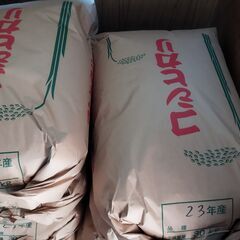 令和5年栃木市産コシヒカリ玄米30kg
