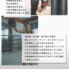 美品）F.R.JAPAN ファインディングロード スタンディングサンドバッグ 