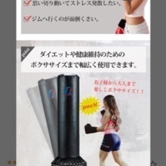 美品）F.R.JAPAN ファインディングロード スタンディングサンドバッグ 