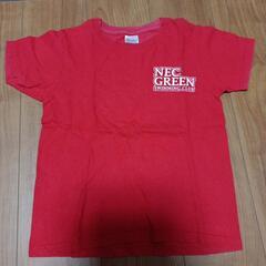 NECグリーンスイミングクラブ　Tシャツ