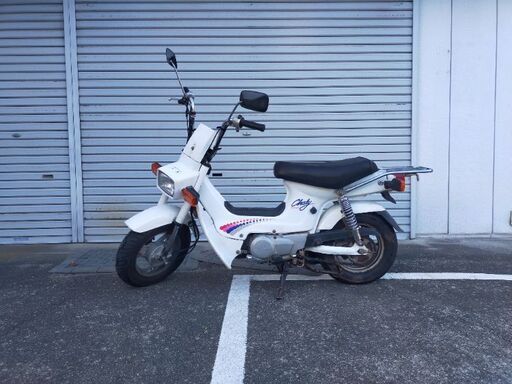 角目シャリー　CF50