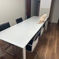テーブル、椅子8脚