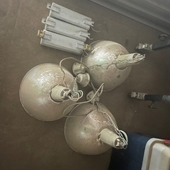 生産中止のレア物です。水銀灯3台あります。10/17まで使ってました。LEDに変えたので外しました。ホコリ被ってるくらいです。