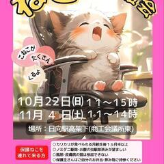 ねこ縁結びの会10&11月譲渡会―日向駅高架下―