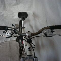 GIANT（ジャイアント）Warp（ワープ）マウンテンバイク　管理NO.20231015-11-1