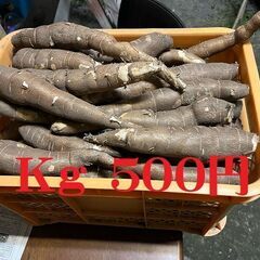 キャッサバ芋　Mａｎｄｉｏｃａｓ　Yuka　１kｇ　５００円（無...