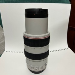 Canon キャノン EF 70-300mm F4-5.6L I...