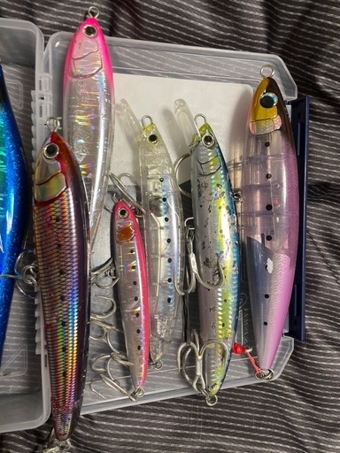 17000円から値下げ船の鯛やヒラマサ