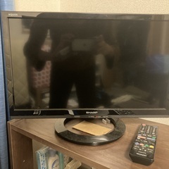 テレビの引越し処分