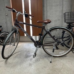 ルイガノ 美品✨